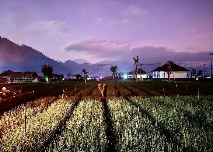 بيت ضيافة Tamalia House 4*