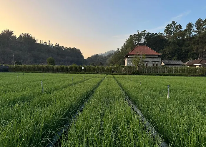 بيت ضيافة Tamalia House